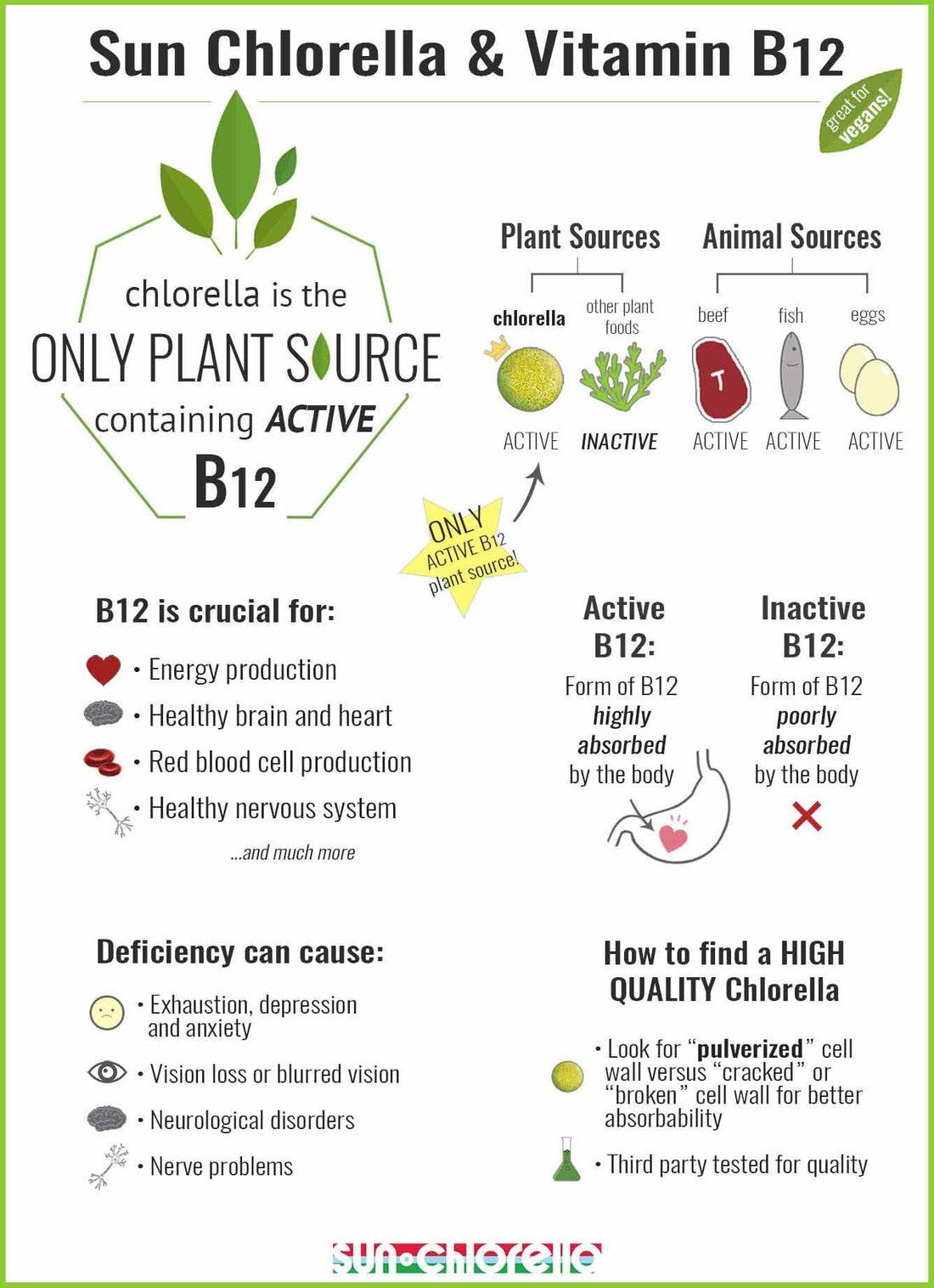 The Superfood Your Entire Family Should Be Eating - Chlorella