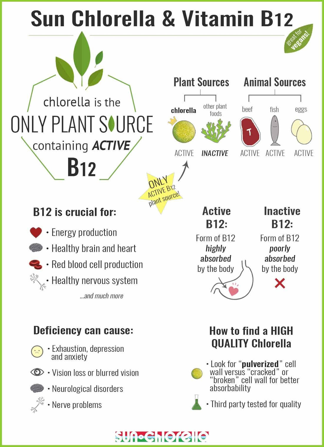 Chlorella-Sun Chlorella UK | Wholefood Supplements-Sun Chlorella-