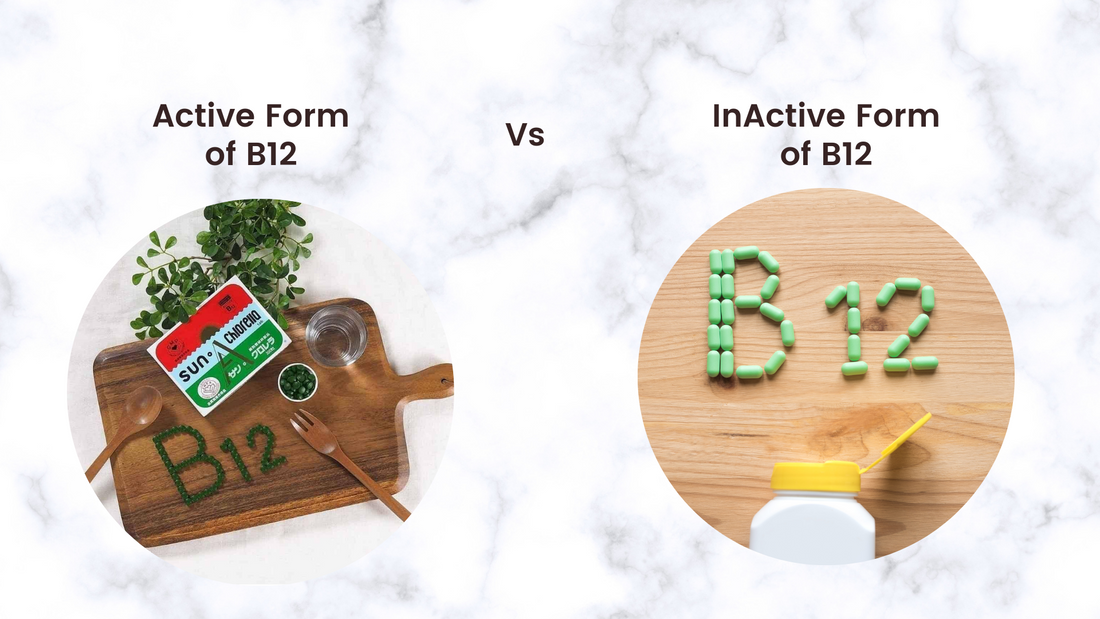 Chlorella B12 - Active Form Vs Inactive Vitamin B12