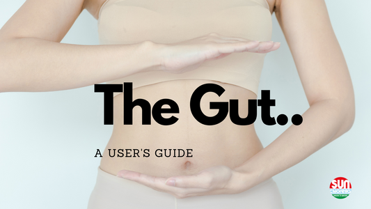 The Gut: A User’s Guide