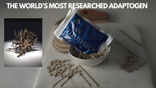 Eleuthero, Why It's The World's Most Researched Adaptogen