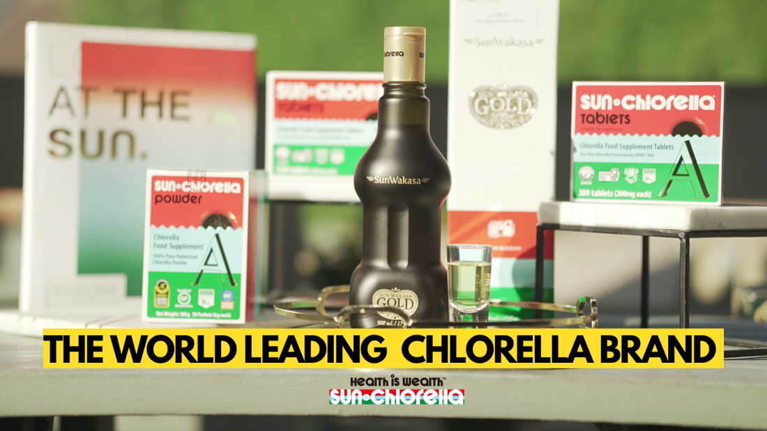 Newsletter-Sun Chlorella UK | Wholefood Supplements-Alice Cooper-