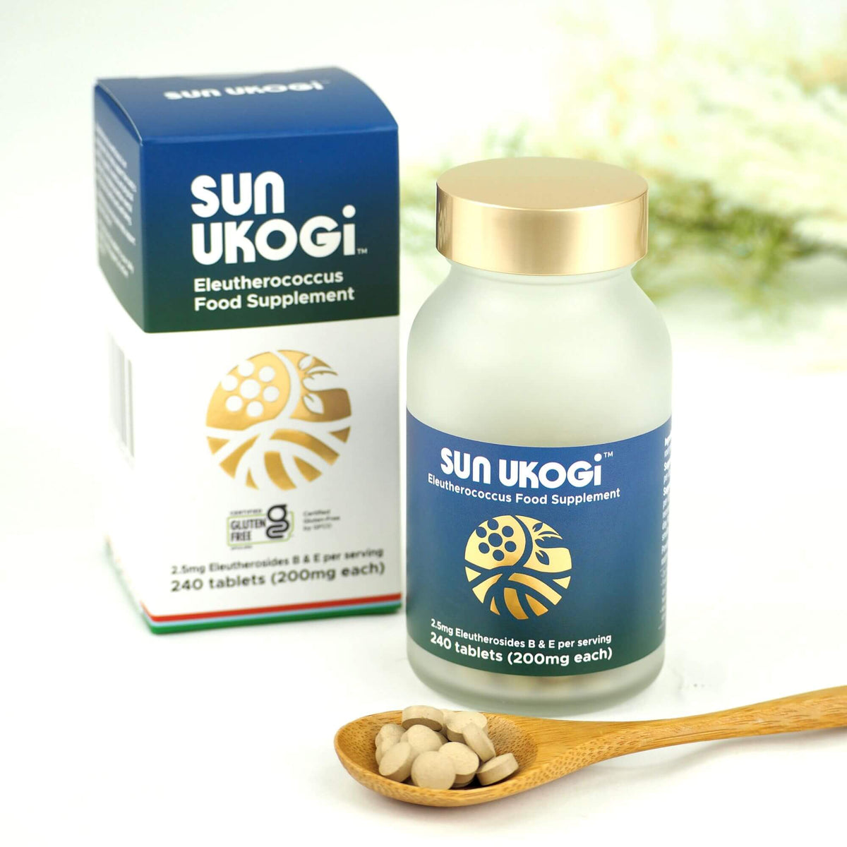 SUN UKOGI